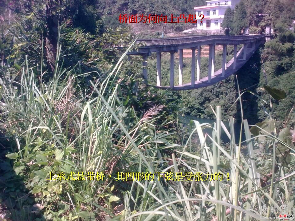 幻灯片9.JPG