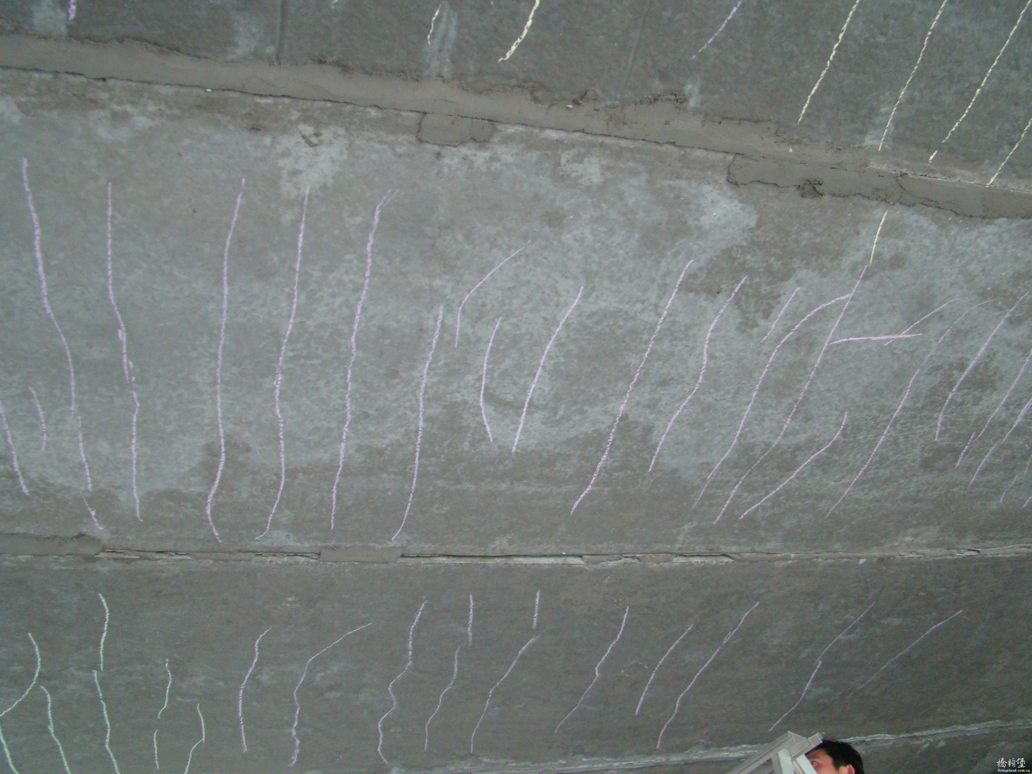 DSC09506.JPG