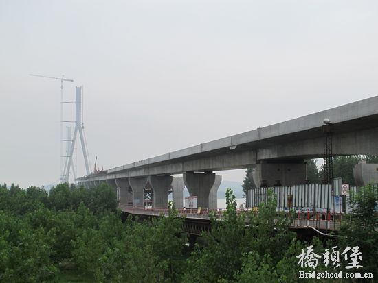 4131367_991937.jpg