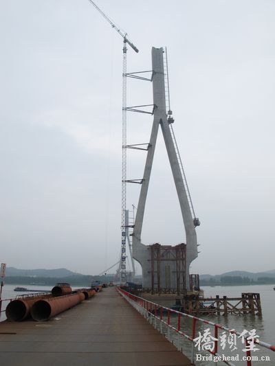 4131368_642581.jpg
