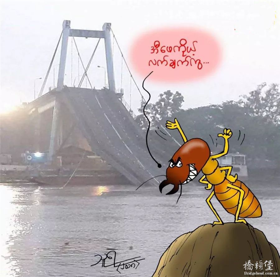 媒体评论 (7).jpg