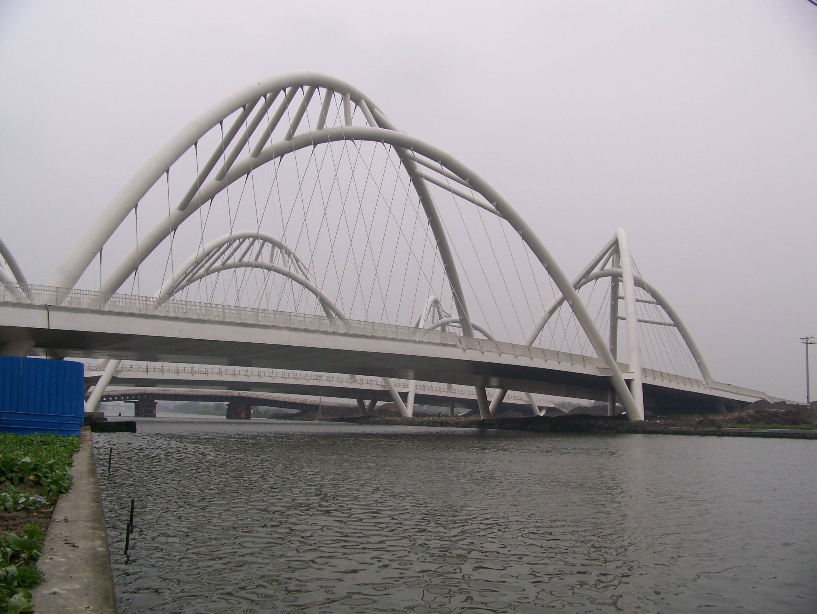 20100316_63d5d6e4618b99bf3726w1B7bdgRoLCq.jpg