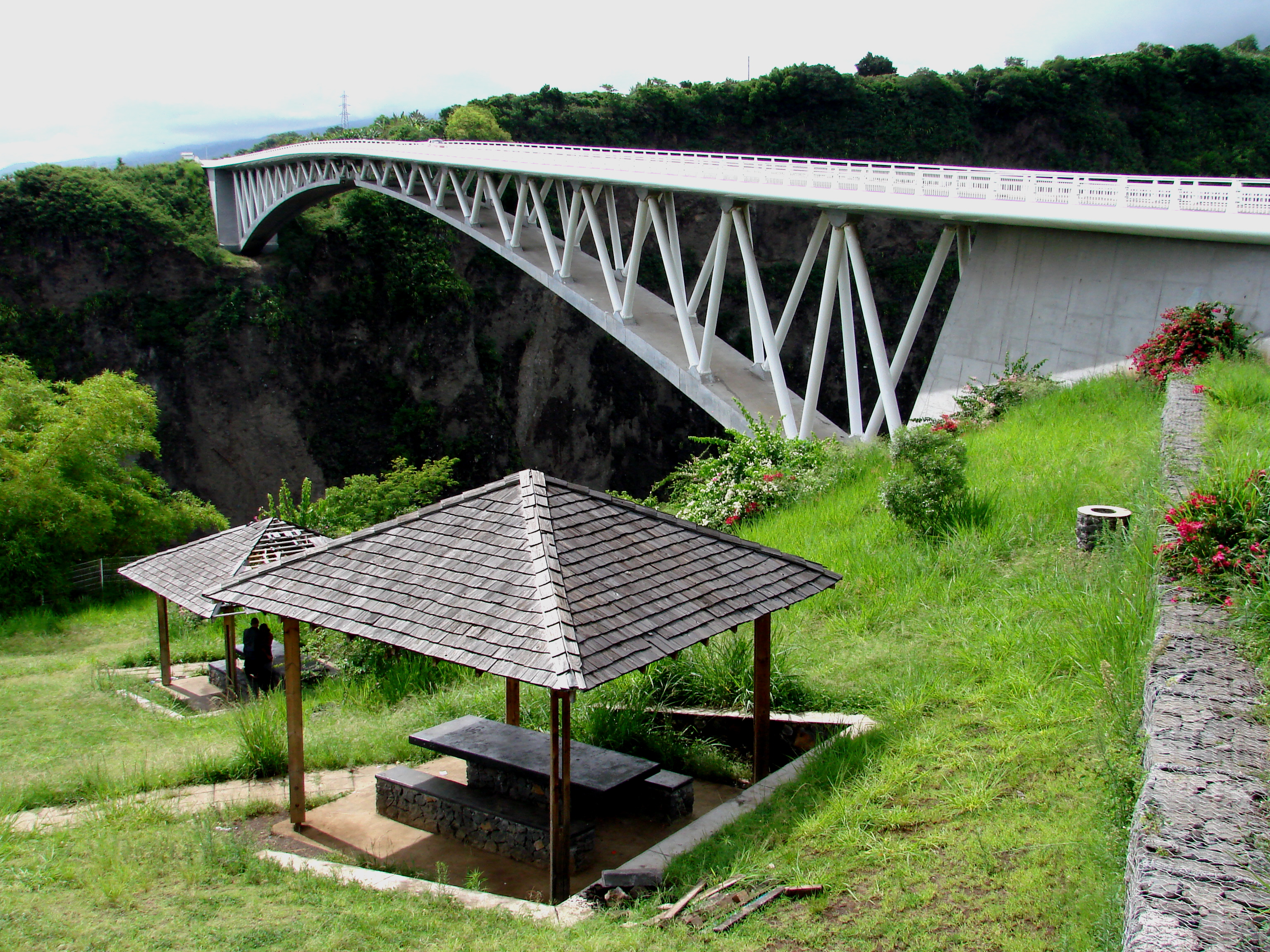 pont_bras_de_la_plaine.jpg