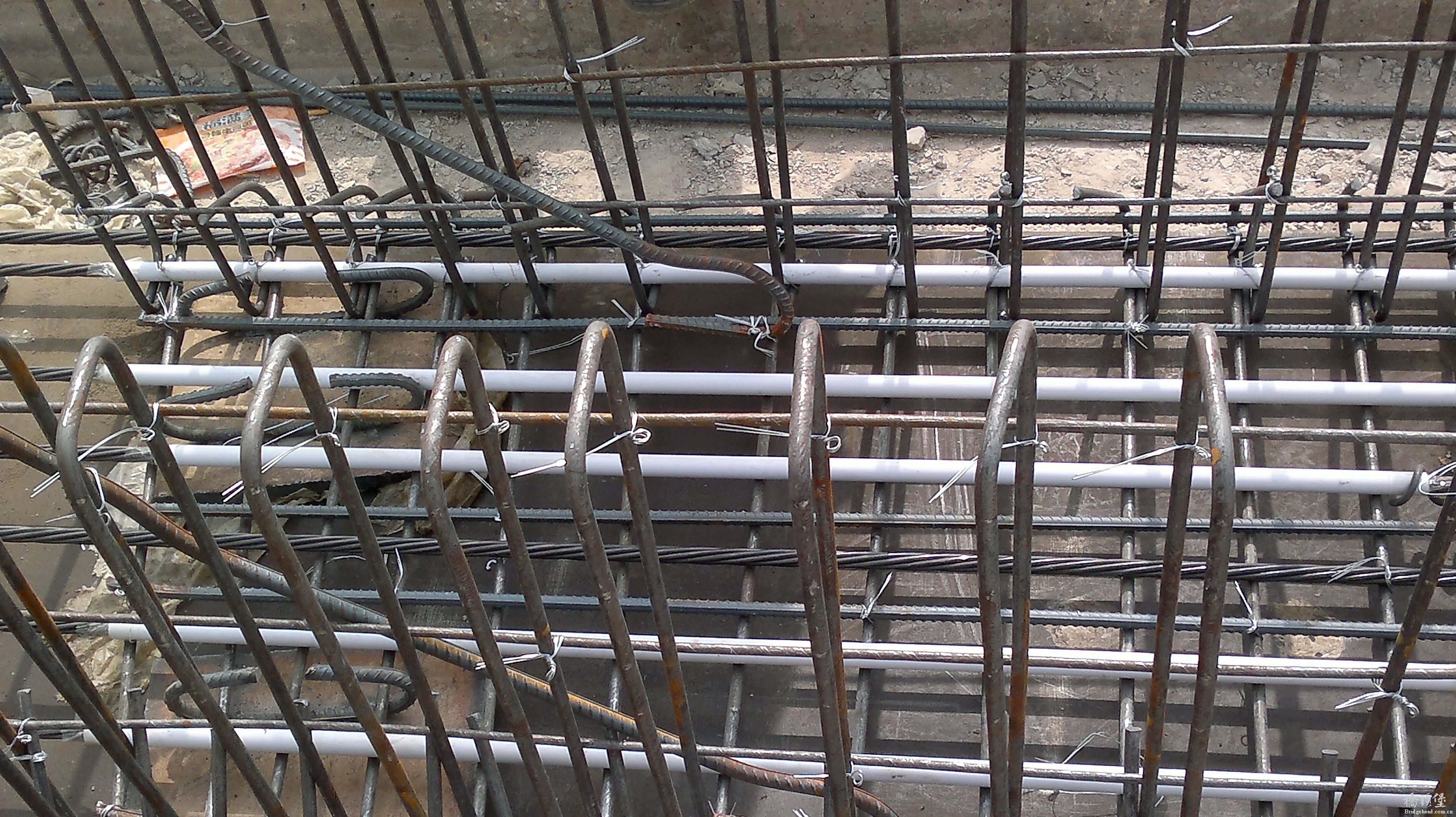 20110409174.jpg