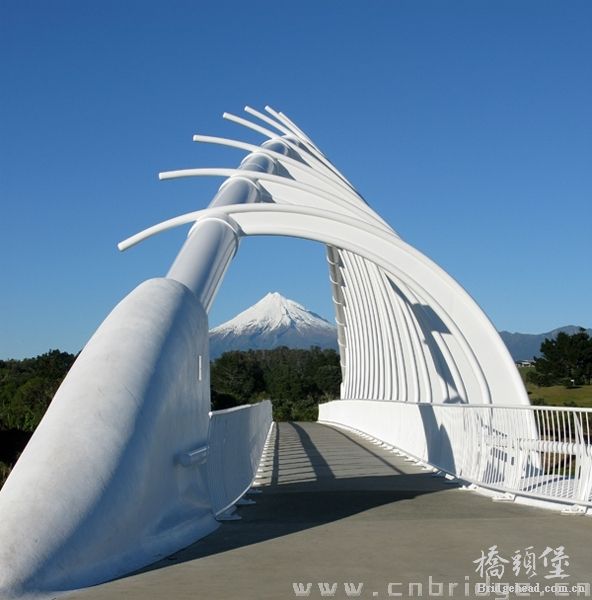 Te Rewa Rewa Bridge 桥1.jpg