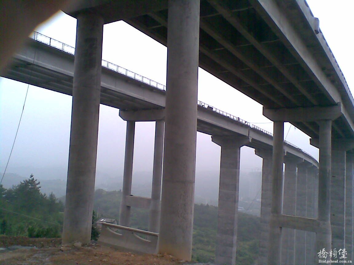 20110712.jpg