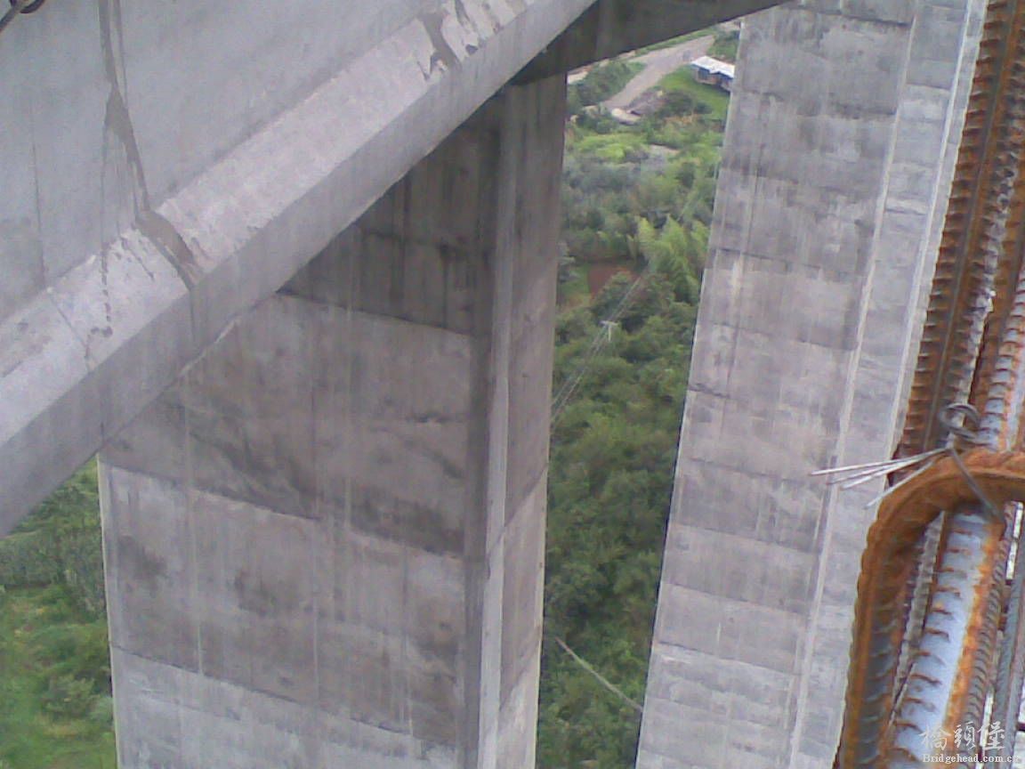 20110716(003).jpg