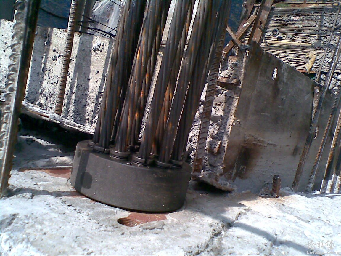 20110723(002).jpg