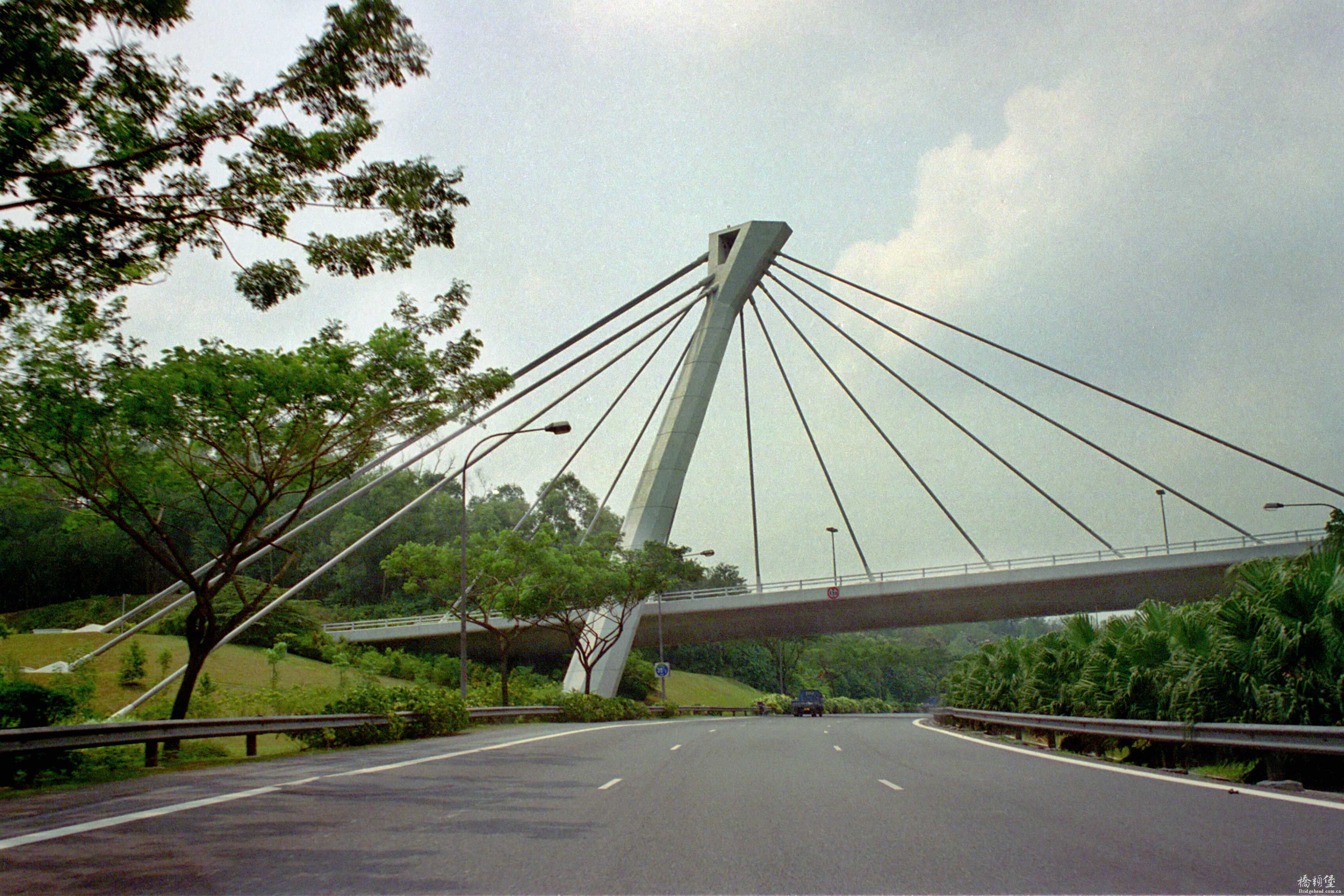 14506437.jpg