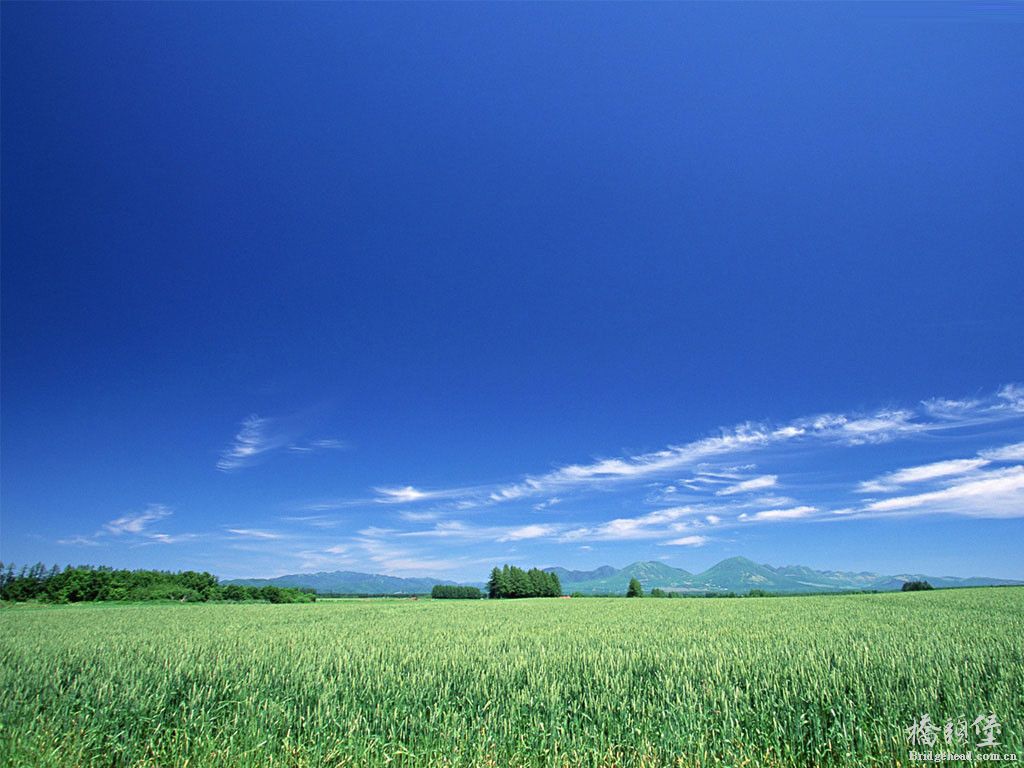 景色7.jpg