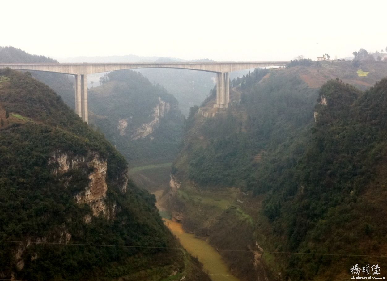 茅台1.JPG