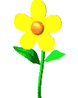 未命名.gif