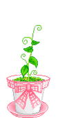 未命名.gif