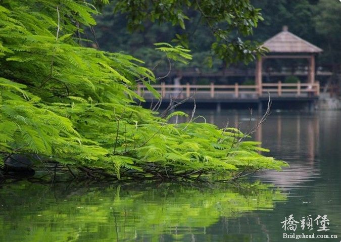 镜水亭廓.jpg