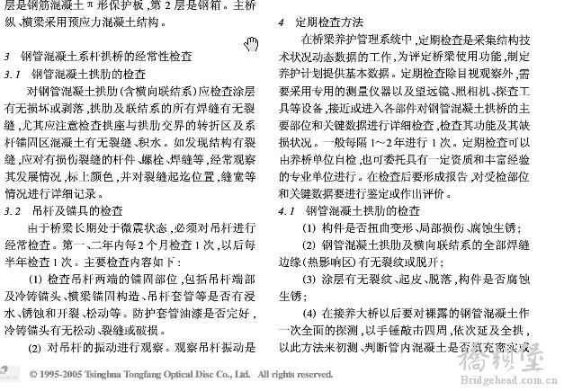 系杆拱养护3.jpg