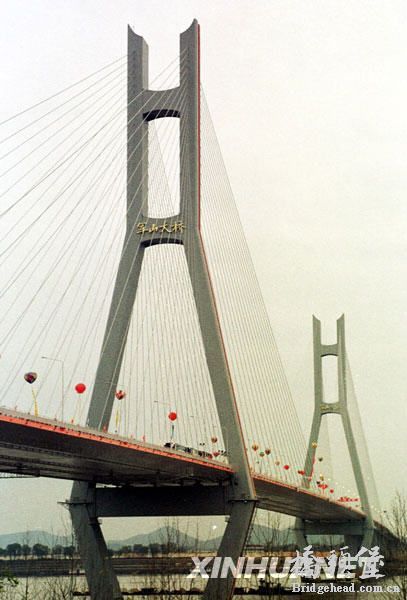 382e62f095.jpg