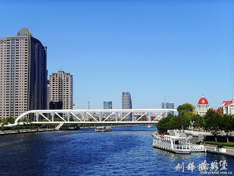 11765554_0800.jpg