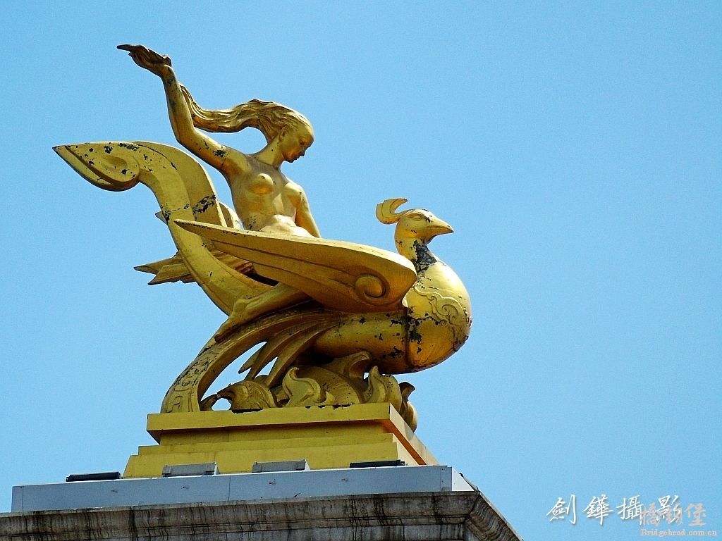 11938527.jpg