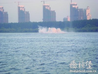 Img375648187.jpg