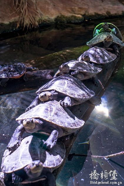 2841_422092_132163.jpg