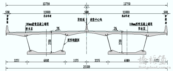 波形钢腹板PC组合箱梁横断面布置图 .png