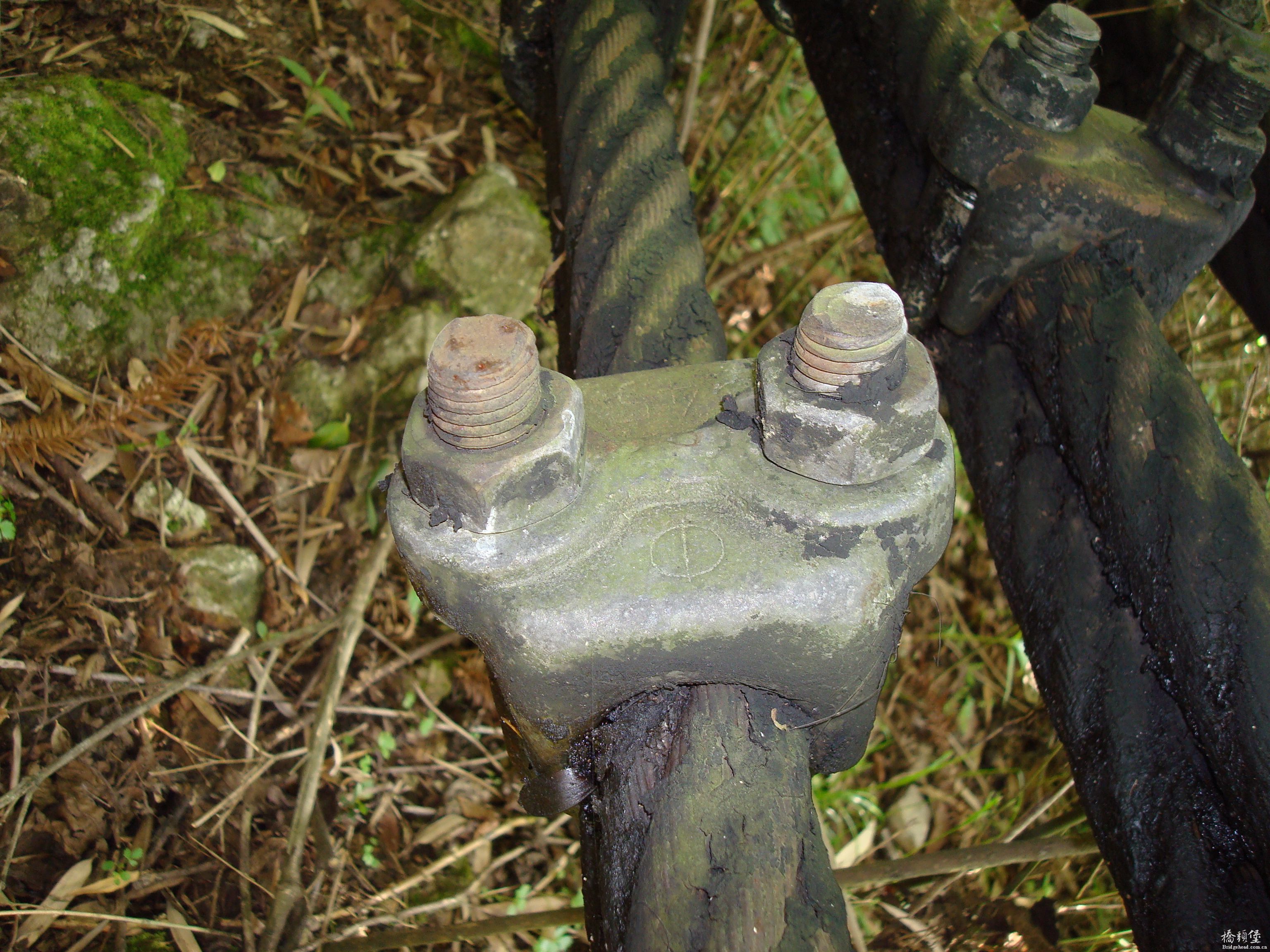 DSC00013.JPG