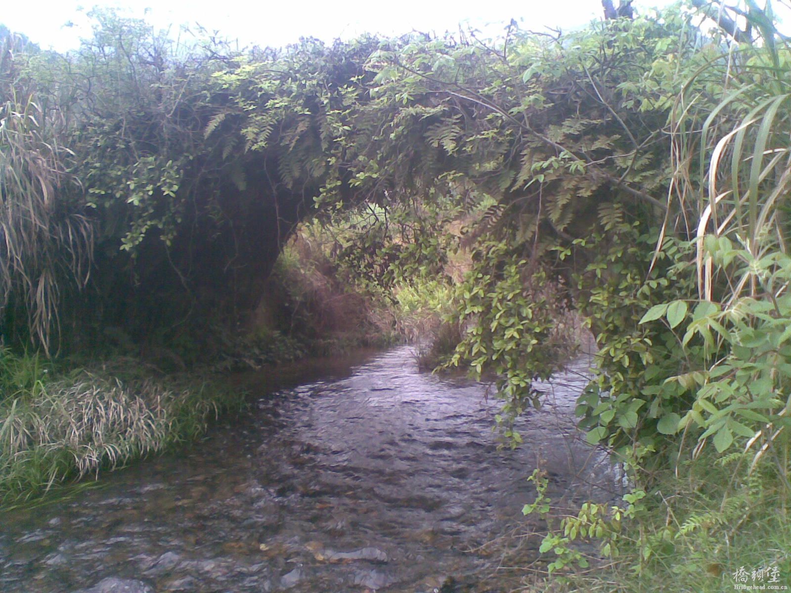 20140410(001).jpg