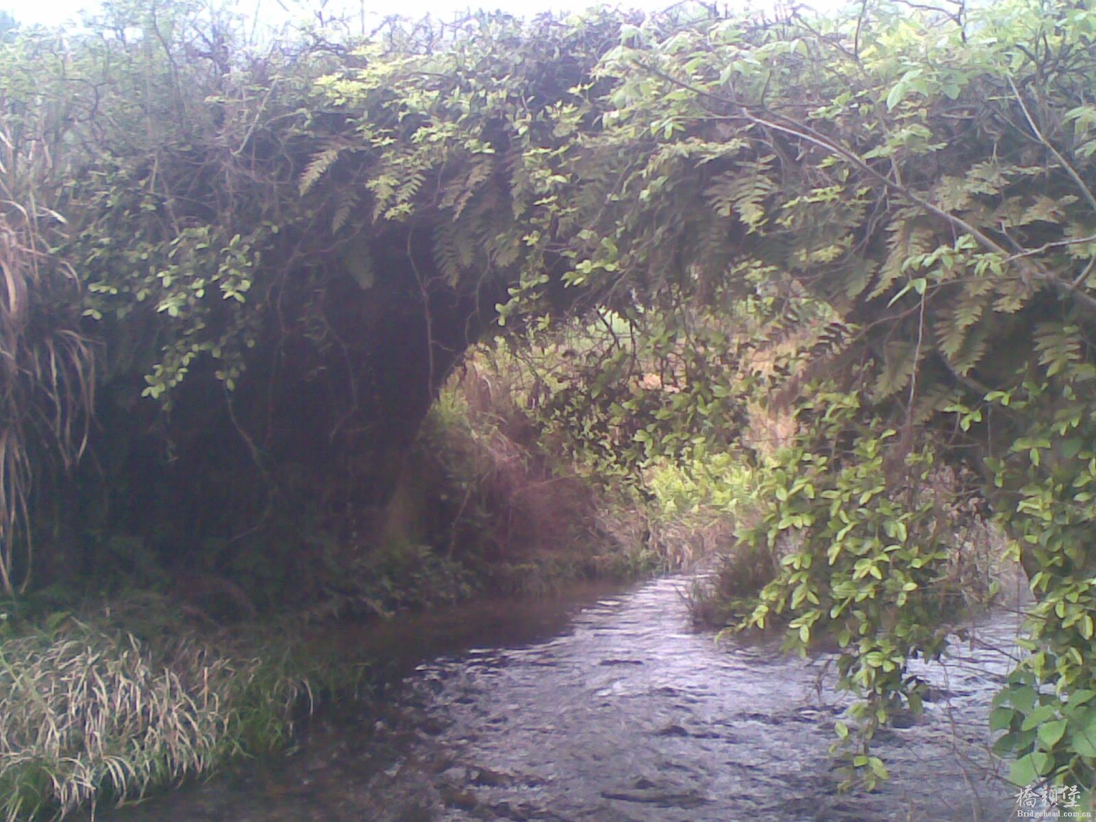 20140410(002).jpg