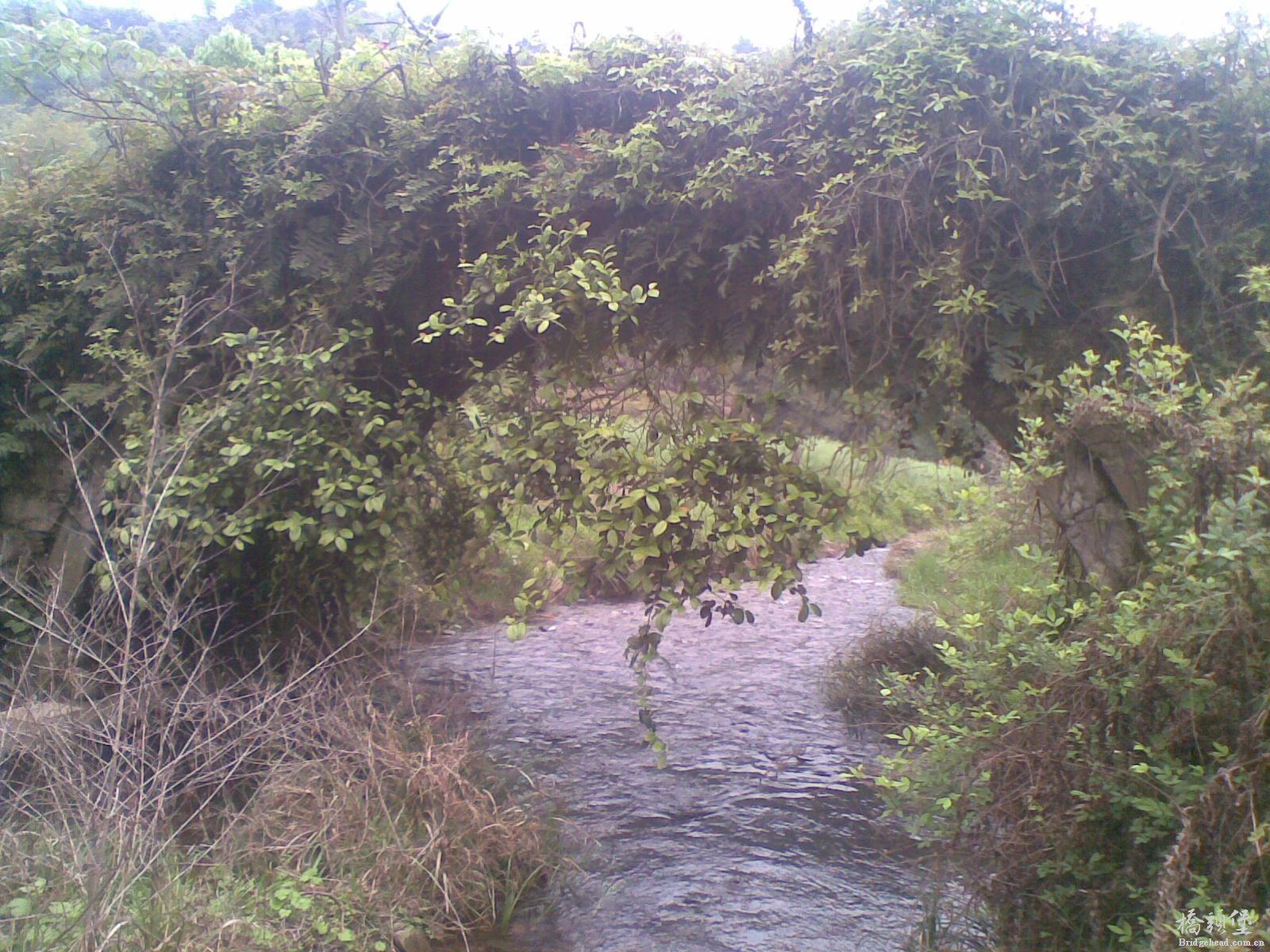 20140410(004).jpg