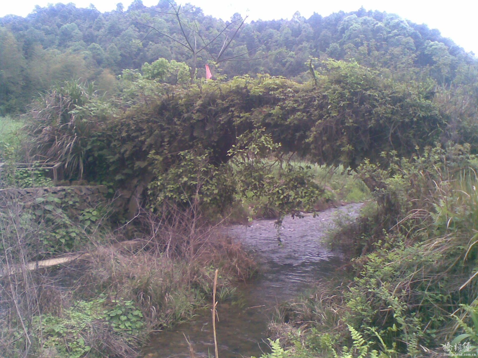 20140410(005).jpg