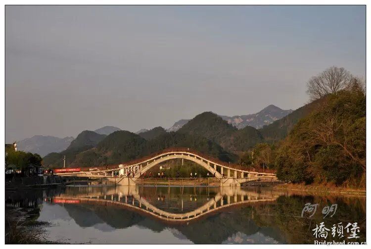 龙眼1.jpg