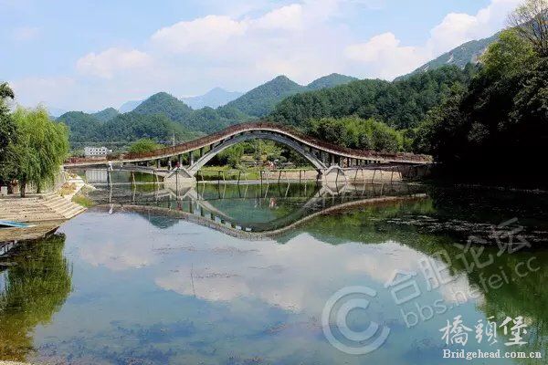 龙眼3.jpg