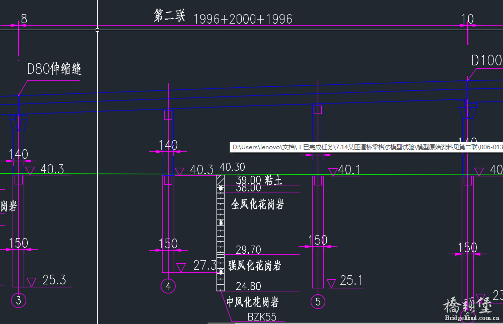 桥型布置立面图.png