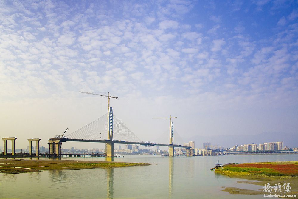 肇庆阅江 (1).jpg