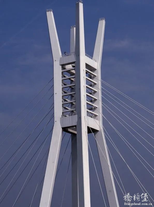 SZXbfil5xb74g74f.jpg