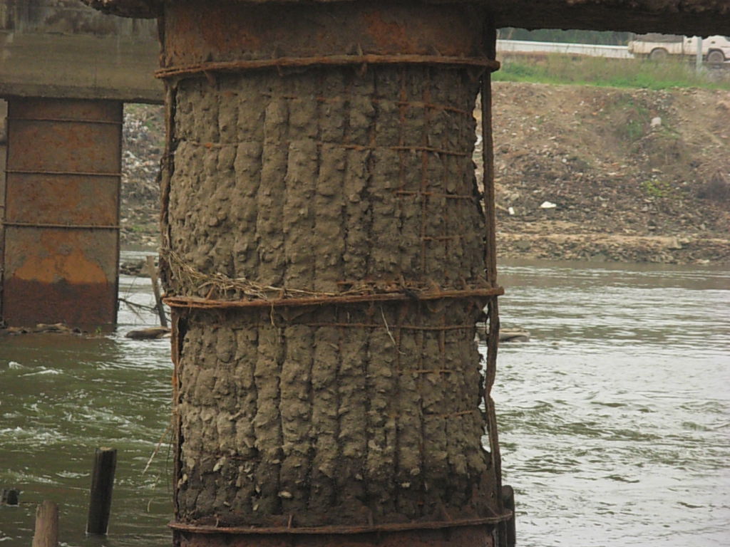 DSCN4588.JPG