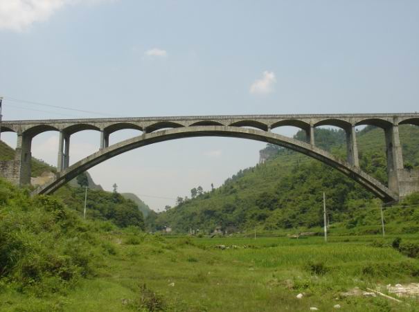 fenghuang.jpg