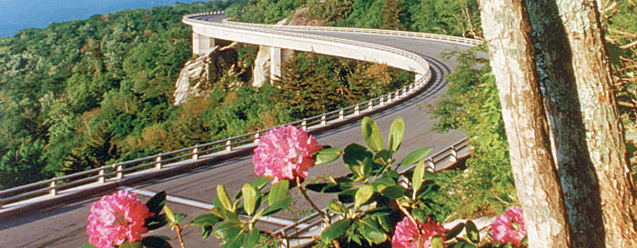 Linn Cove Viaduct.jpg