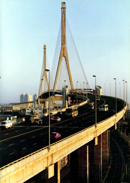 杨浦大桥全景2.jpg