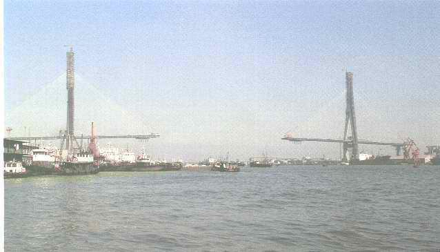 杨浦大桥.JPG