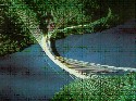 alonedh,s_20060515105930.jpg