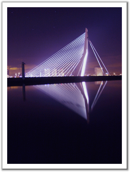 289266-Erasmusbridge.jpg