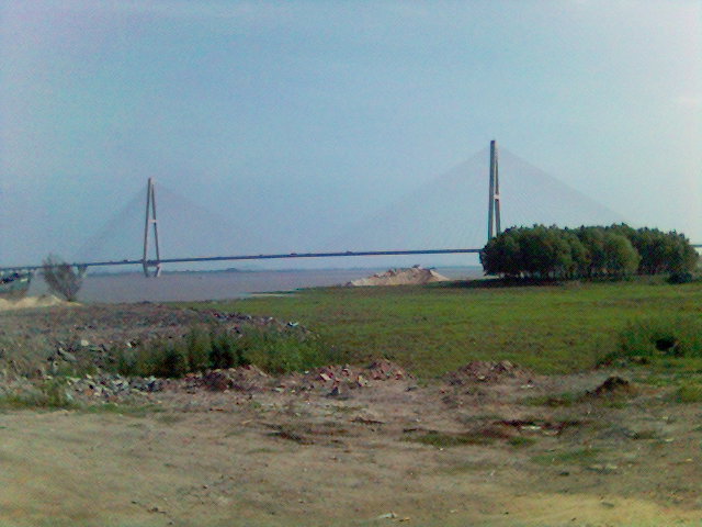 白沙洲大桥.jpg