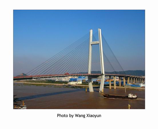 招宝山大桥.jpg