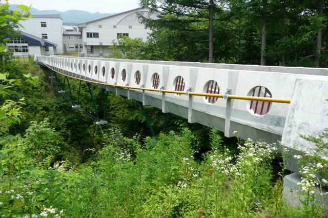 Seishun-Brg011.jpg