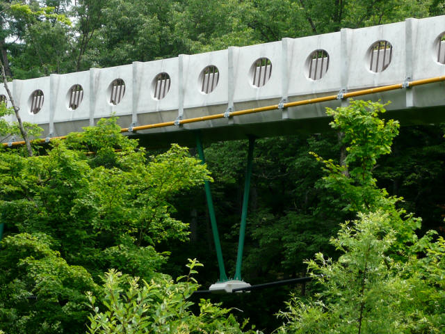 Seishun-Brg020.jpg