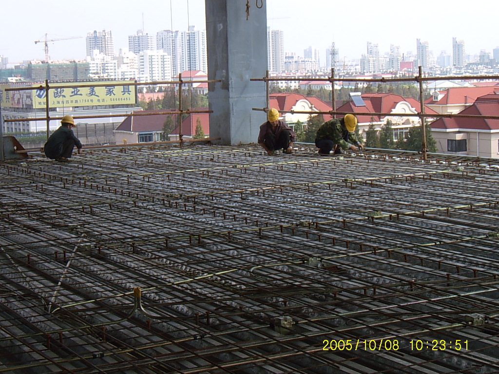 SUC40003.JPG