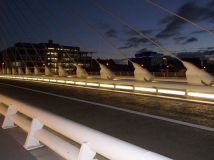 振翅欲飞的天鹅-Samuel Beckett Bridge