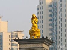 了解上海苏州河的桥（中）