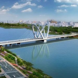 跨徒骇河大桥：碳纤维拉索刷新世界纪录